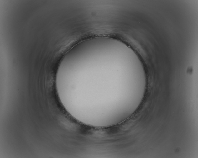 X0000092100113200710101130