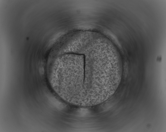 X0000092100114200710101130