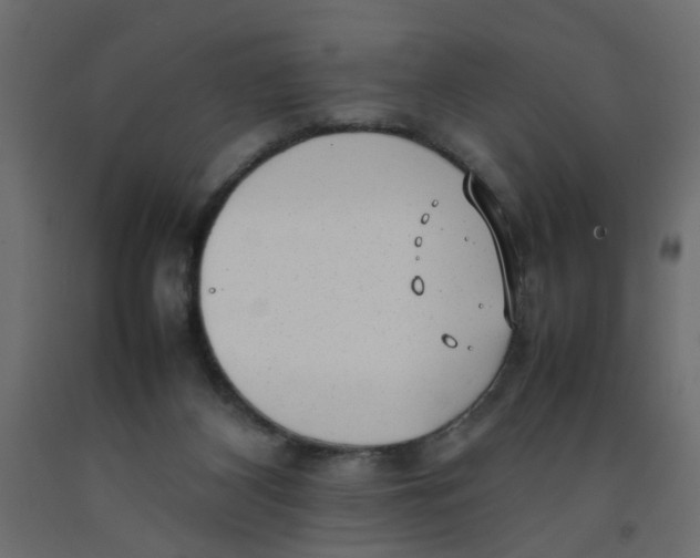 X0000092100116200710101130