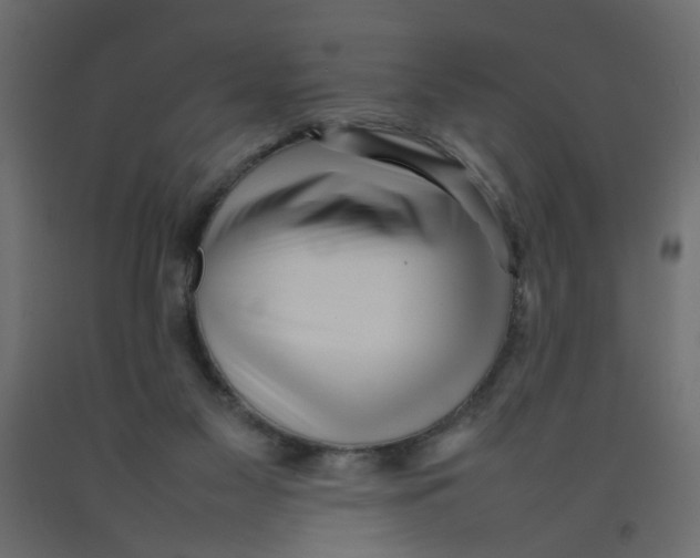 X0000092100117200710101130