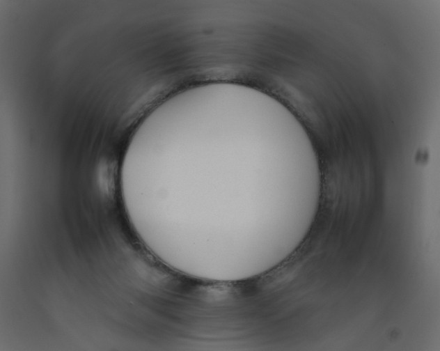 X0000092100118200710101130