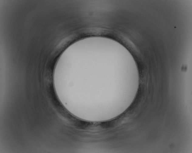 X0000092100119200710101130