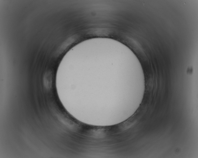 X0000092100120200710101130