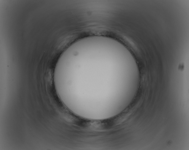 X0000092100121200710101130