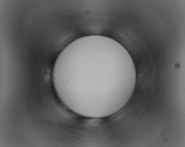 X0000092100122200710101130