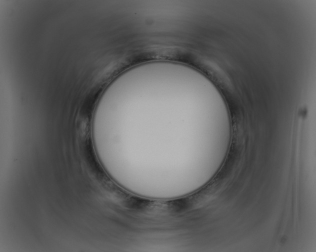 X0000092100123200710101130