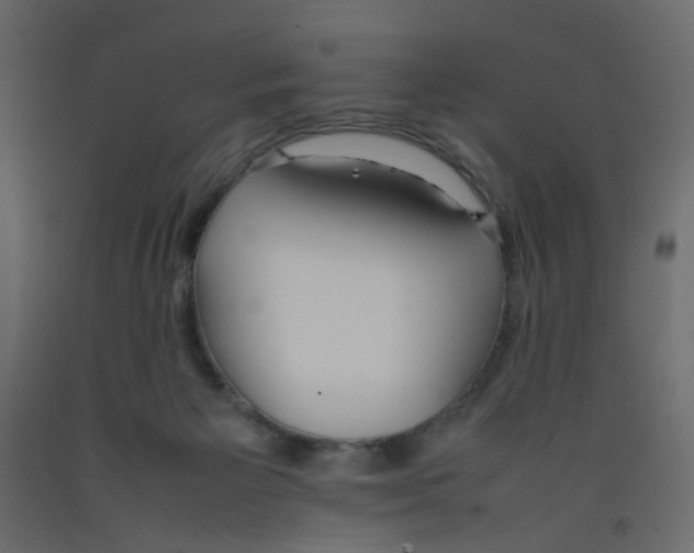 X0000092100125200710101130