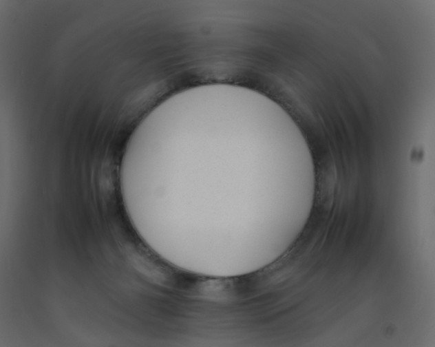 X0000092100126200710101130