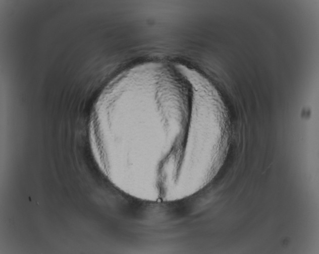 X0000092100127200710101130