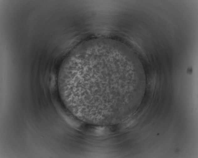 X0000092100130200710101130