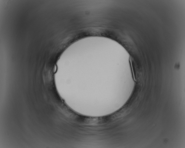 X0000092100131200710101130