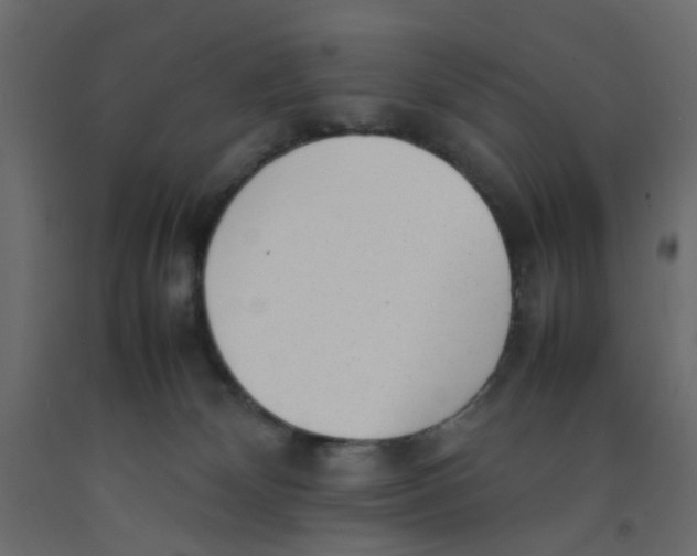 X0000092100132200710101130