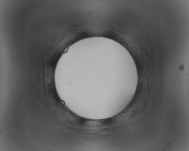 X0000092100133200710101130