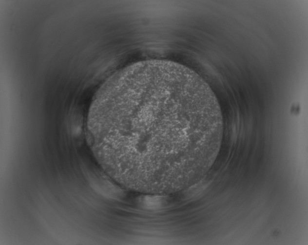 X0000092100134200710101130