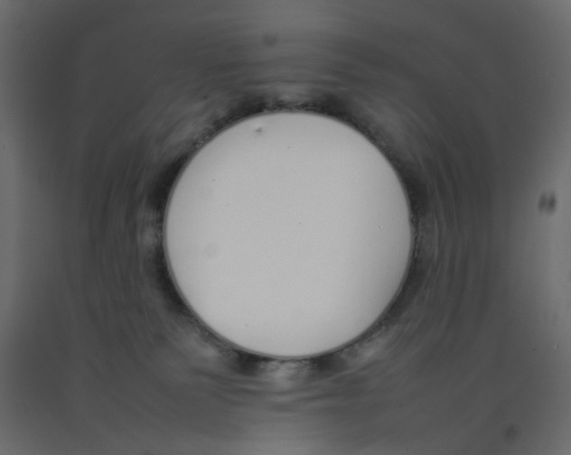 X0000092100135200710101130