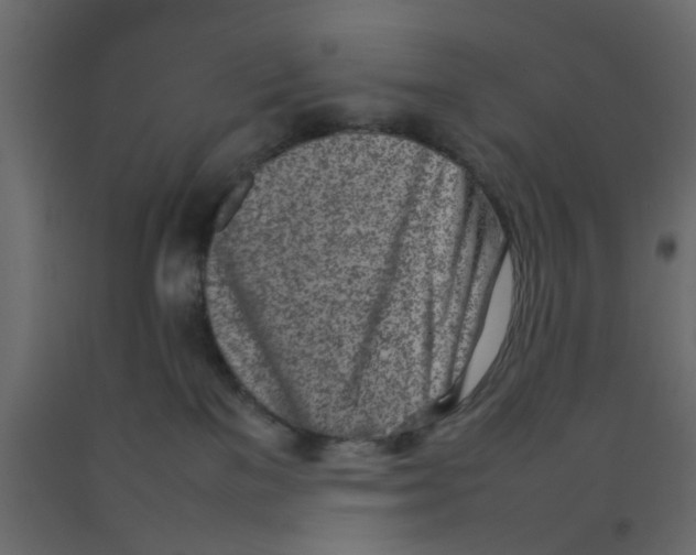 X0000092100137200710101130