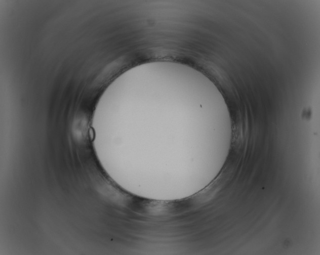 X0000092100142200710101130