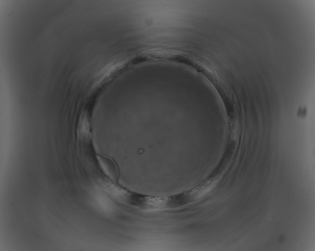 X0000092100143200710101130