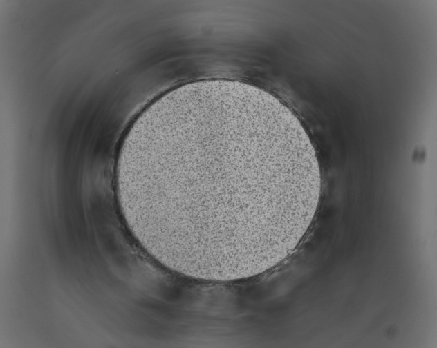 X0000092100146200710101129