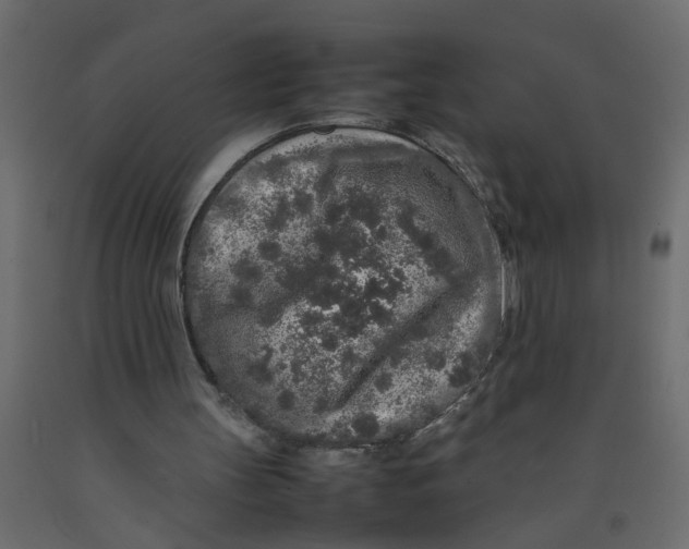 X0000092100147200710101129