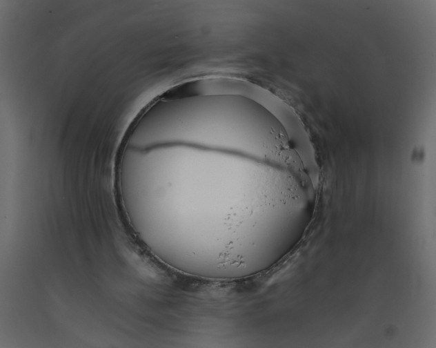 X0000092100148200710101129