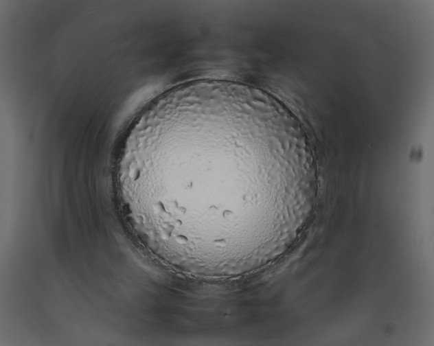 X0000092100149200710101129