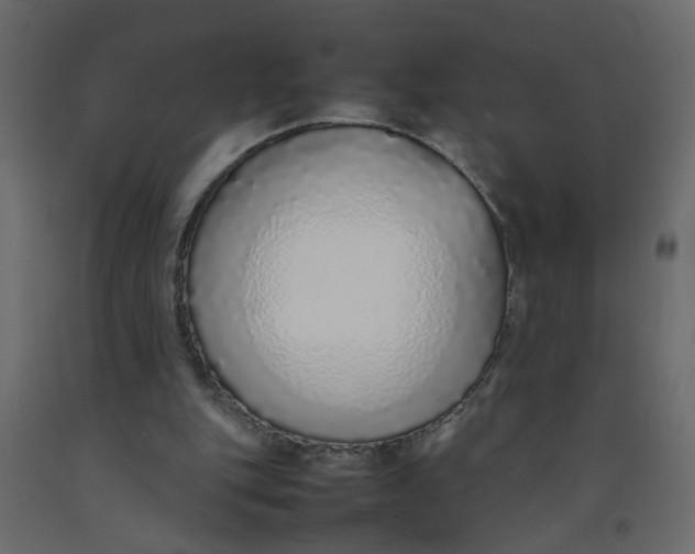 X0000092100151200710101129