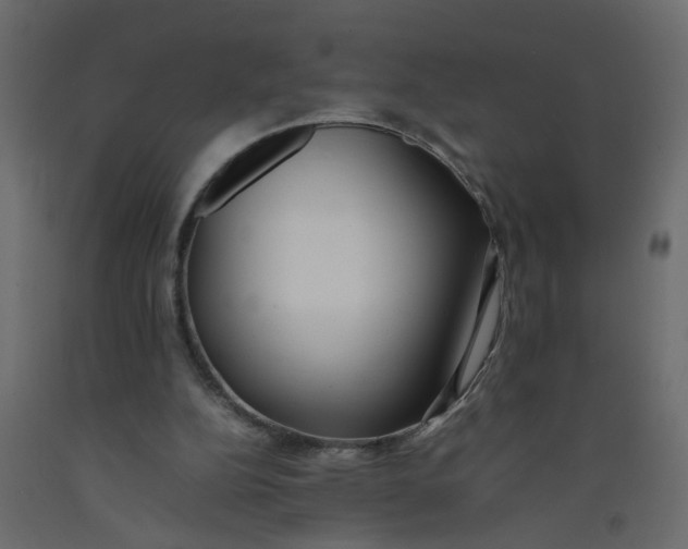 X0000092100152200710101129