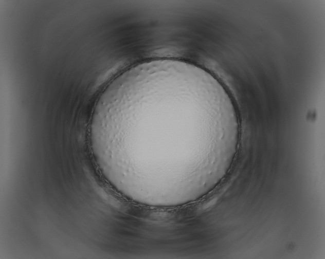 X0000092100153200710101129