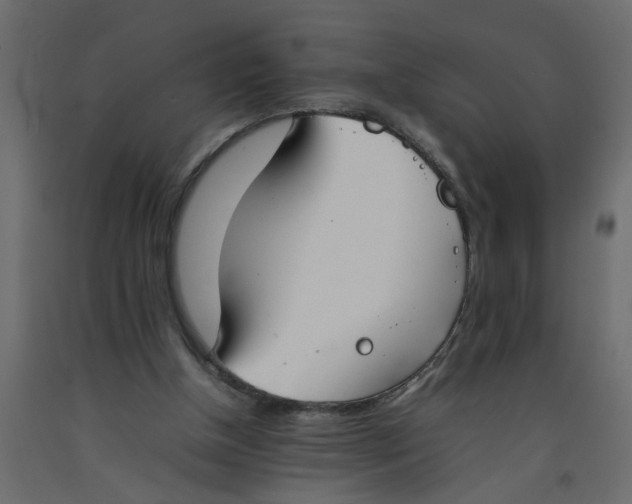 X0000092100154200710101129