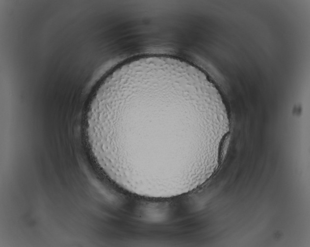 X0000092100155200710101129