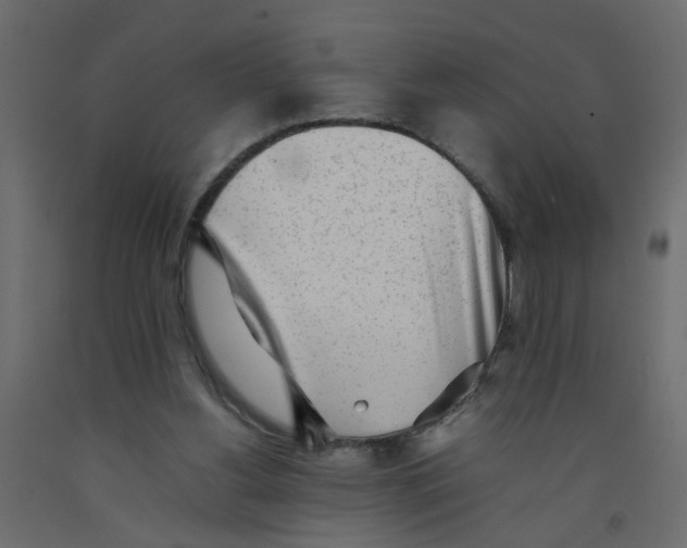 X0000092100156200710101129