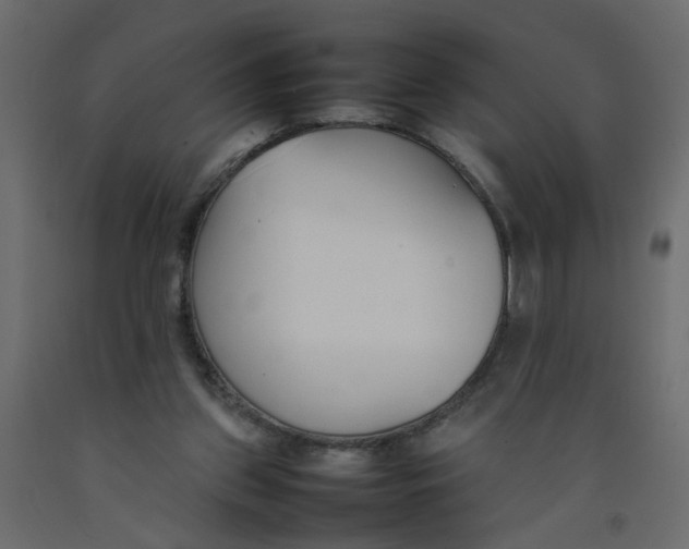 X0000092100157200710101129