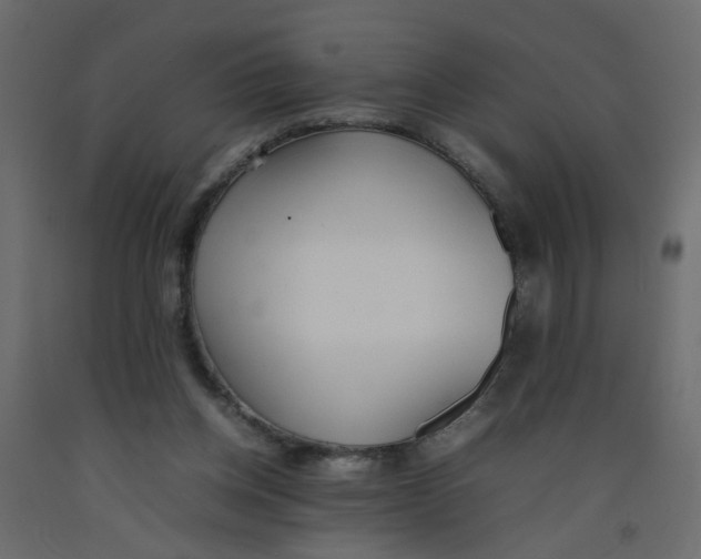 X0000092100158200710101129