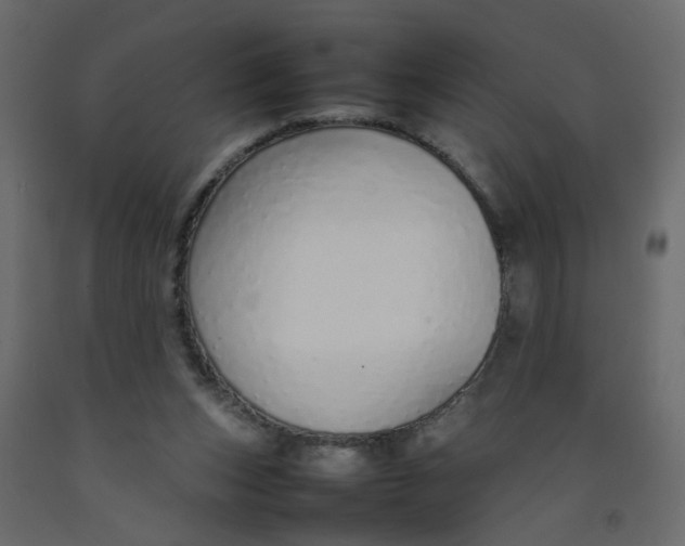 X0000092100159200710101129