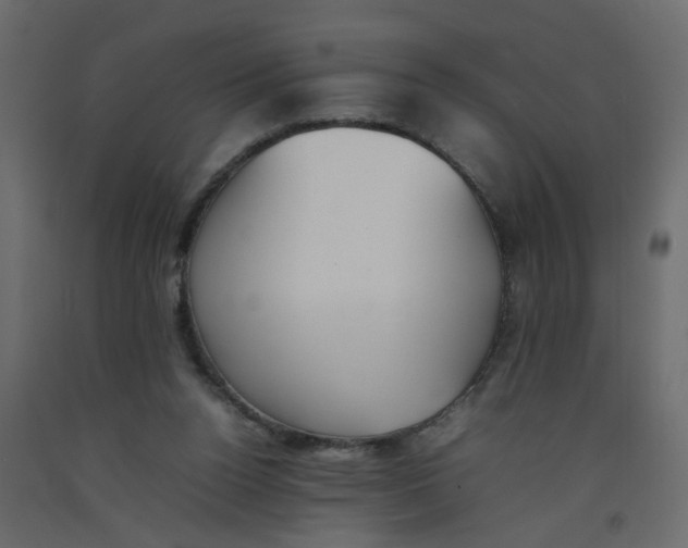 X0000092100160200710101129