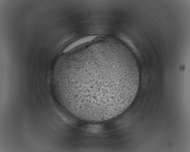 X0000092100161200710101129