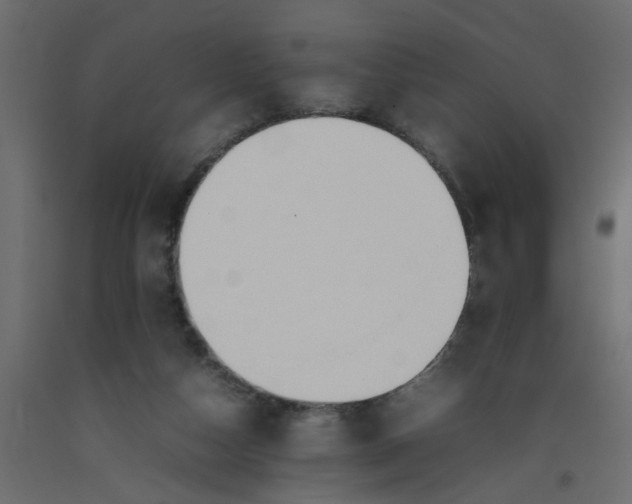 X0000092100162200710101129