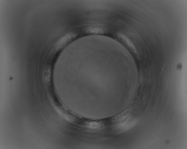 X0000092100163200710101129