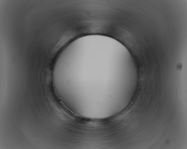 X0000092100164200710101129