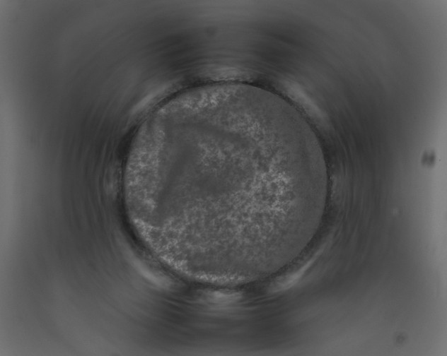 X0000092100165200710101129