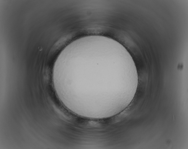 X0000092100166200710101129