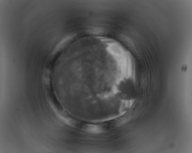 X0000092100167200710101129