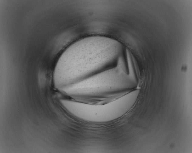 X0000092100168200710101129