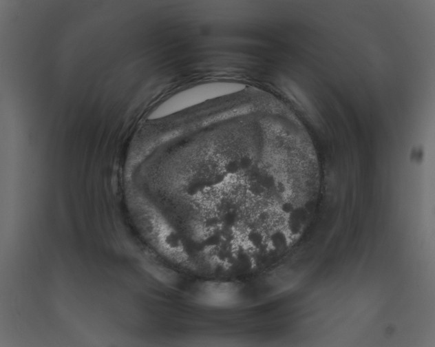 X0000092100169200710101129