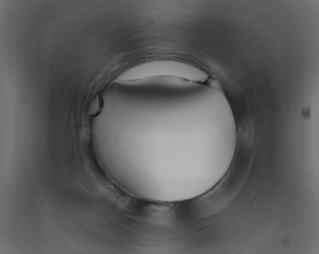 X0000092100170200710101129