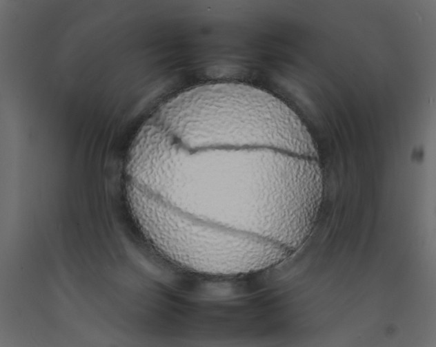 X0000092100171200710101129