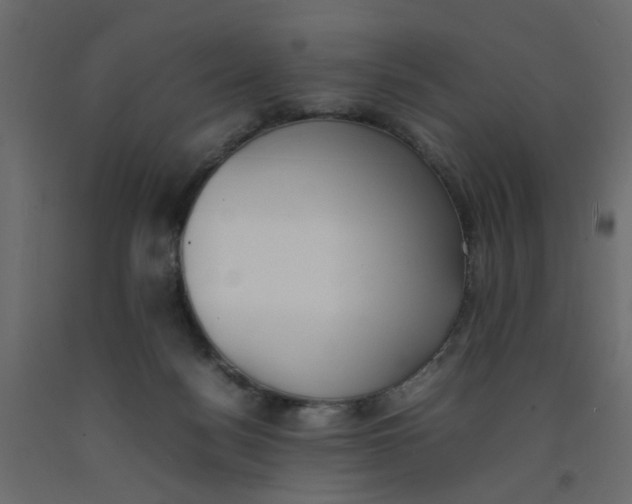 X0000092100172200710101129