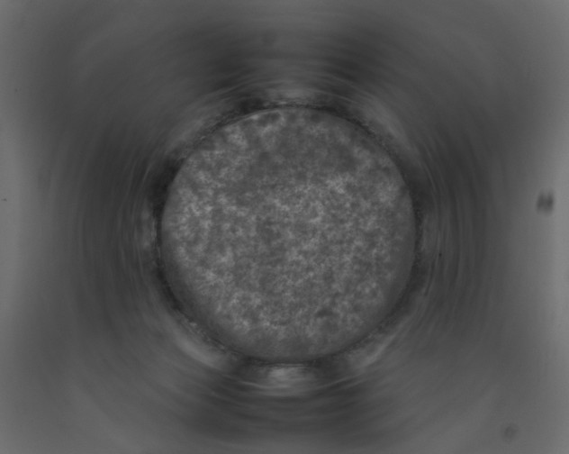 X0000092100173200710101129