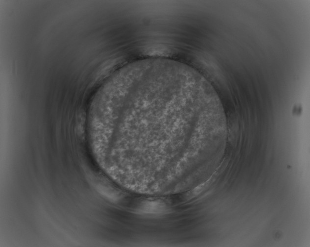 X0000092100175200710101129